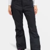 Roxy Diversion Snow Pants | Snow Pants